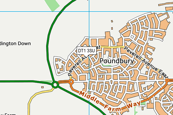 DT1 3SU map - OS VectorMap District (Ordnance Survey)