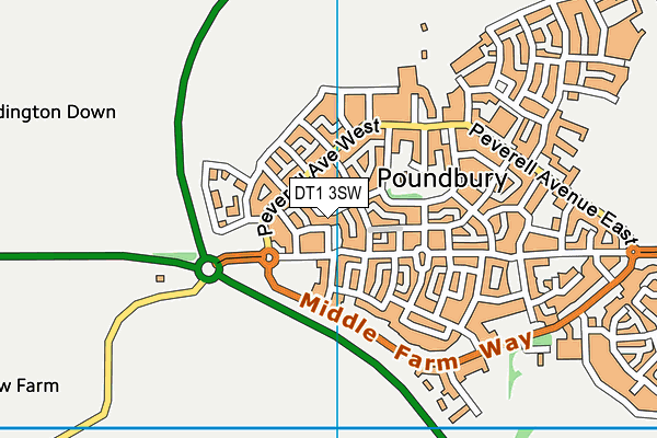 DT1 3SW map - OS VectorMap District (Ordnance Survey)