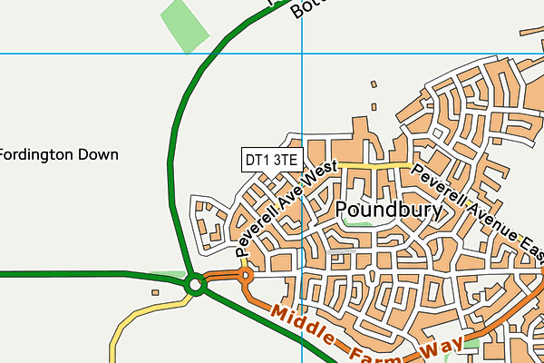DT1 3TE map - OS VectorMap District (Ordnance Survey)