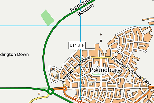 DT1 3TF map - OS VectorMap District (Ordnance Survey)