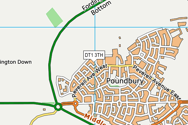 DT1 3TH map - OS VectorMap District (Ordnance Survey)