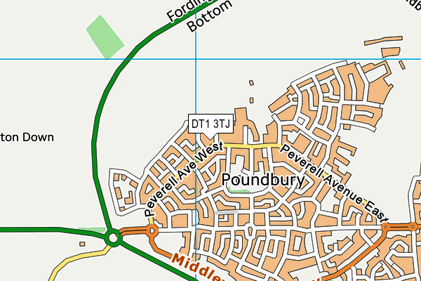 DT1 3TJ map - OS VectorMap District (Ordnance Survey)