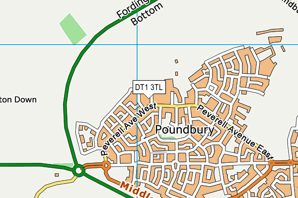 DT1 3TL map - OS VectorMap District (Ordnance Survey)