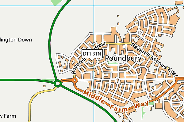 DT1 3TN map - OS VectorMap District (Ordnance Survey)