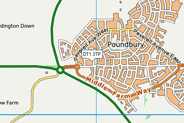 DT1 3TP map - OS VectorMap District (Ordnance Survey)