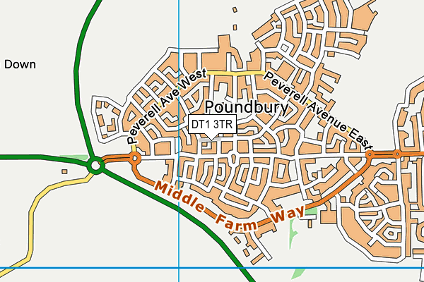 DT1 3TR map - OS VectorMap District (Ordnance Survey)