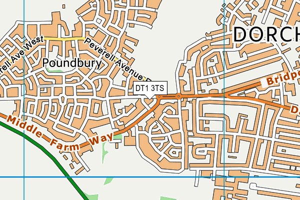 DT1 3TS map - OS VectorMap District (Ordnance Survey)