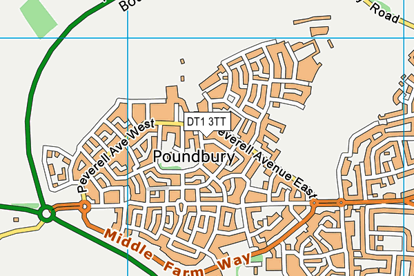 DT1 3TT map - OS VectorMap District (Ordnance Survey)