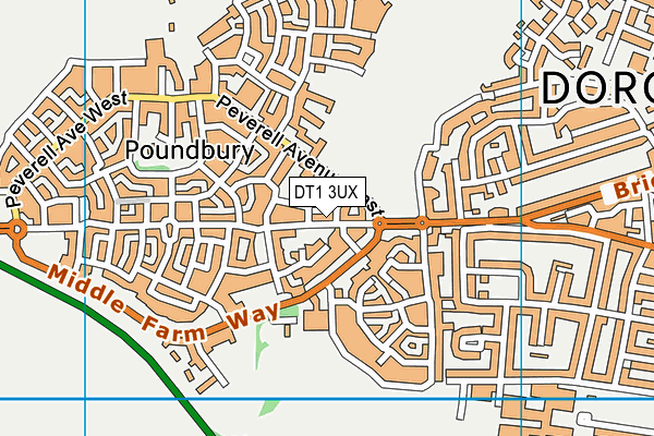 DT1 3UX map - OS VectorMap District (Ordnance Survey)