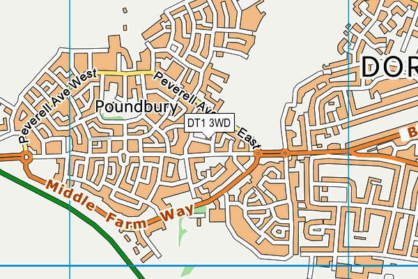 DT1 3WD map - OS VectorMap District (Ordnance Survey)