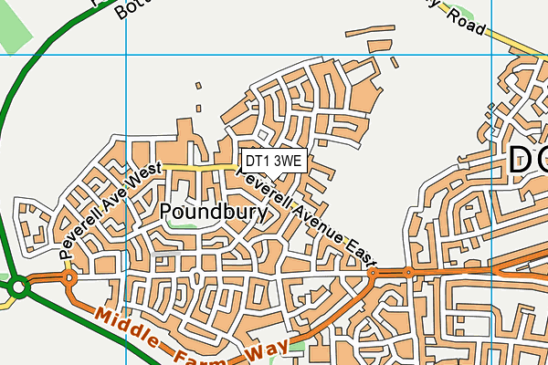 DT1 3WE map - OS VectorMap District (Ordnance Survey)