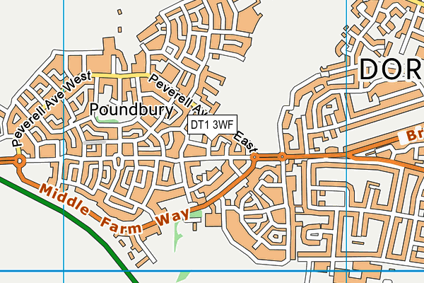 DT1 3WF map - OS VectorMap District (Ordnance Survey)