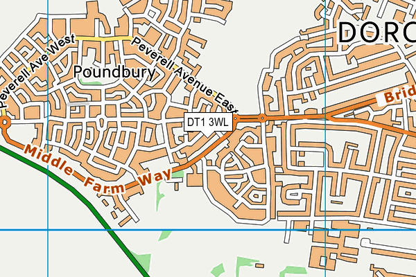 DT1 3WL map - OS VectorMap District (Ordnance Survey)