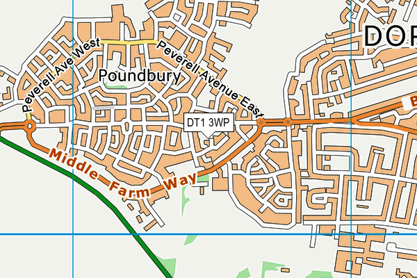 DT1 3WP map - OS VectorMap District (Ordnance Survey)