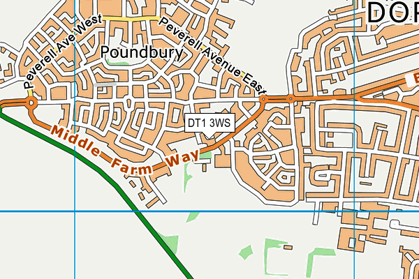 DT1 3WS map - OS VectorMap District (Ordnance Survey)