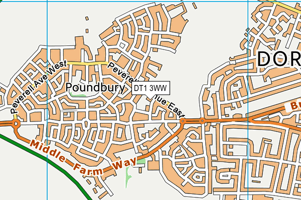 DT1 3WW map - OS VectorMap District (Ordnance Survey)