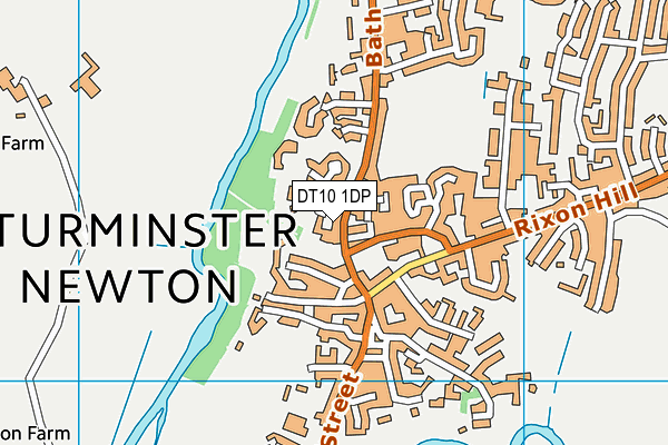 DT10 1DP map - OS VectorMap District (Ordnance Survey)