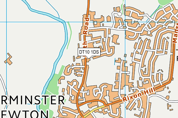 DT10 1DS map - OS VectorMap District (Ordnance Survey)