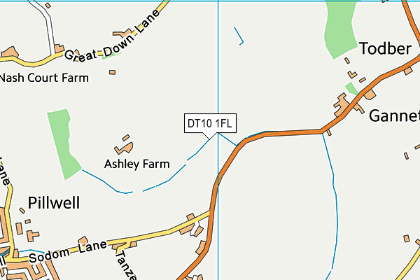 DT10 1FL map - OS VectorMap District (Ordnance Survey)