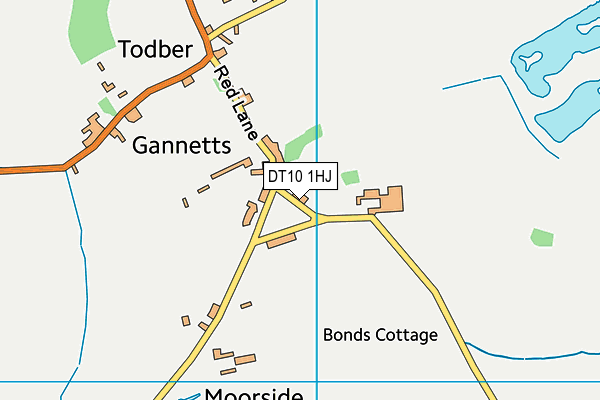 DT10 1HJ map - OS VectorMap District (Ordnance Survey)