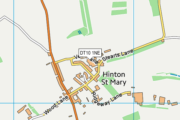 DT10 1NE map - OS VectorMap District (Ordnance Survey)