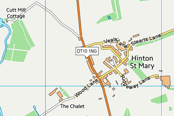 DT10 1NG map - OS VectorMap District (Ordnance Survey)