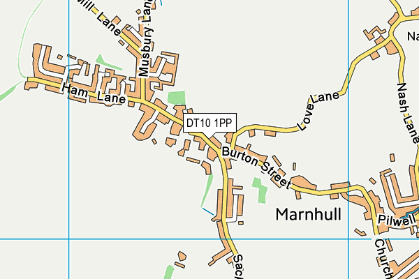 DT10 1PP map - OS VectorMap District (Ordnance Survey)
