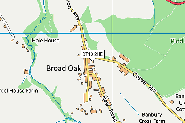 DT10 2HE map - OS VectorMap District (Ordnance Survey)