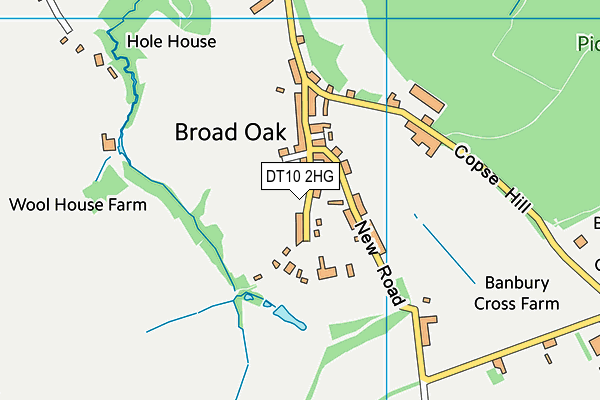 DT10 2HG map - OS VectorMap District (Ordnance Survey)