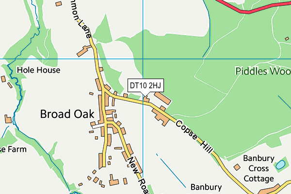 DT10 2HJ map - OS VectorMap District (Ordnance Survey)