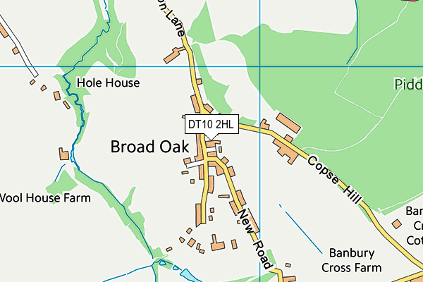 DT10 2HL map - OS VectorMap District (Ordnance Survey)