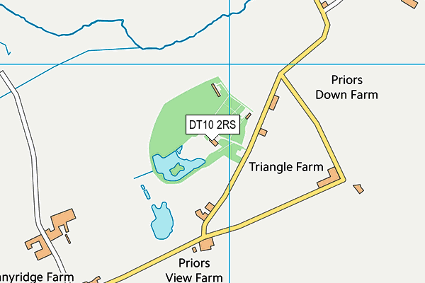 DT10 2RS map - OS VectorMap District (Ordnance Survey)