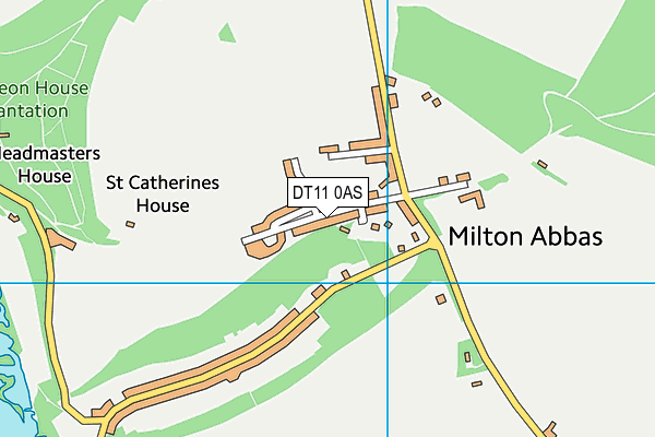 DT11 0AS map - OS VectorMap District (Ordnance Survey)