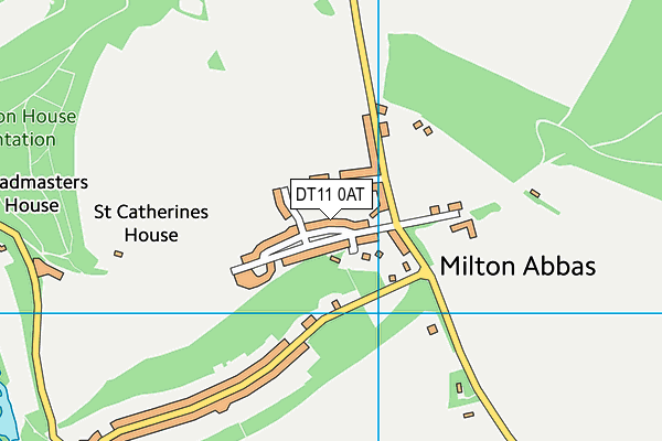 DT11 0AT map - OS VectorMap District (Ordnance Survey)