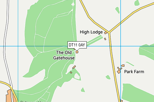 DT11 0AY map - OS VectorMap District (Ordnance Survey)