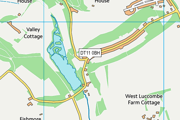 DT11 0BH map - OS VectorMap District (Ordnance Survey)