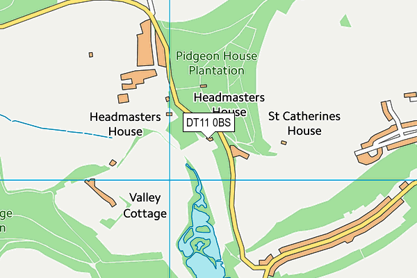 DT11 0BS map - OS VectorMap District (Ordnance Survey)