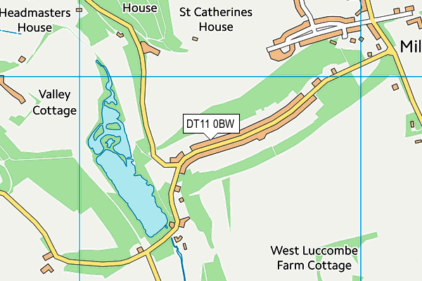 DT11 0BW map - OS VectorMap District (Ordnance Survey)