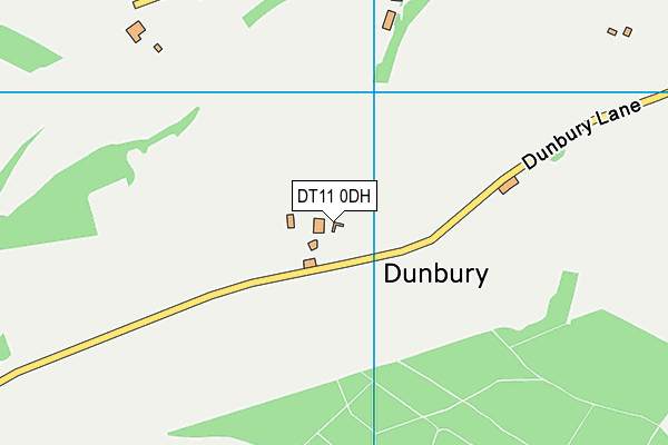 DT11 0DH map - OS VectorMap District (Ordnance Survey)