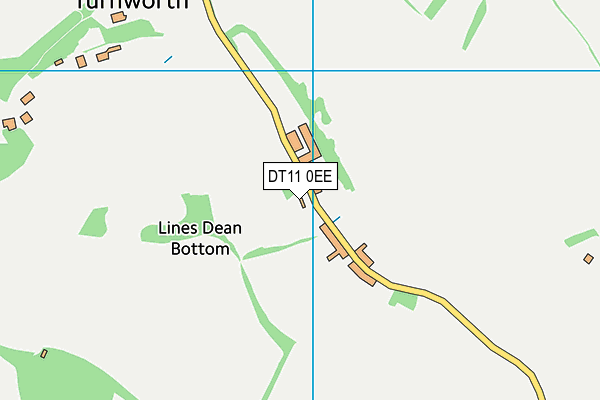 DT11 0EE map - OS VectorMap District (Ordnance Survey)