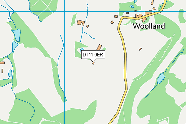 DT11 0ER map - OS VectorMap District (Ordnance Survey)