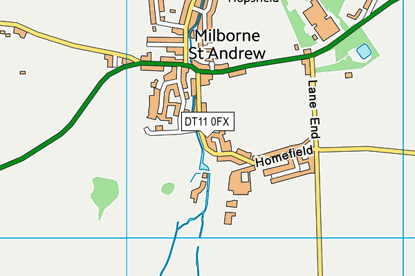 DT11 0FX map - OS VectorMap District (Ordnance Survey)