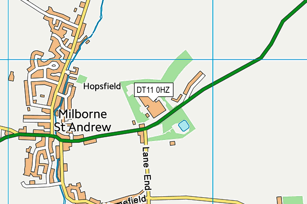 DT11 0HZ map - OS VectorMap District (Ordnance Survey)