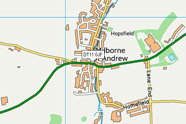 DT11 0JF map - OS VectorMap District (Ordnance Survey)