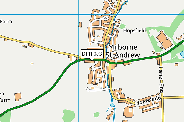 DT11 0JG map - OS VectorMap District (Ordnance Survey)