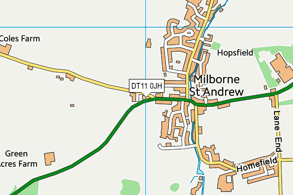 DT11 0JH map - OS VectorMap District (Ordnance Survey)