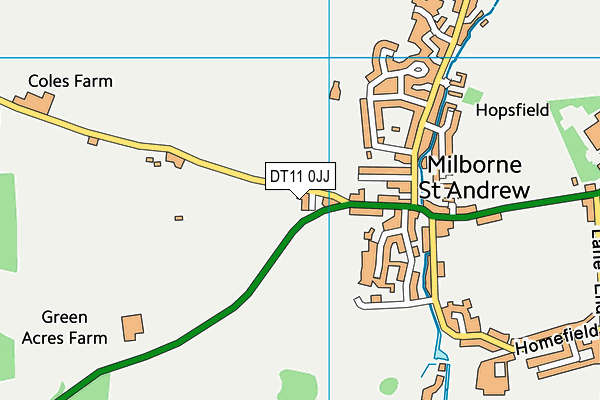 DT11 0JJ map - OS VectorMap District (Ordnance Survey)