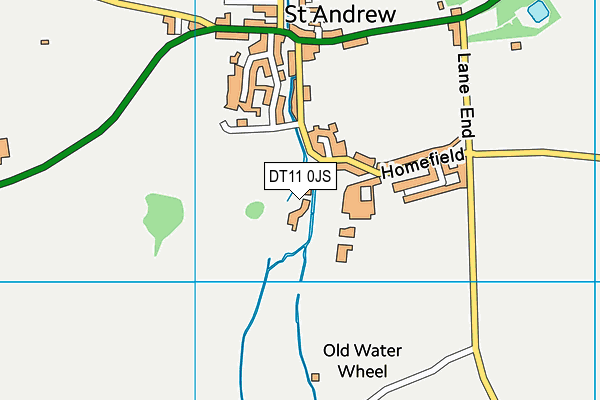 DT11 0JS map - OS VectorMap District (Ordnance Survey)