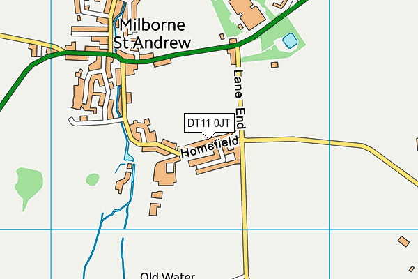 DT11 0JT map - OS VectorMap District (Ordnance Survey)