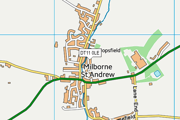 DT11 0LE map - OS VectorMap District (Ordnance Survey)